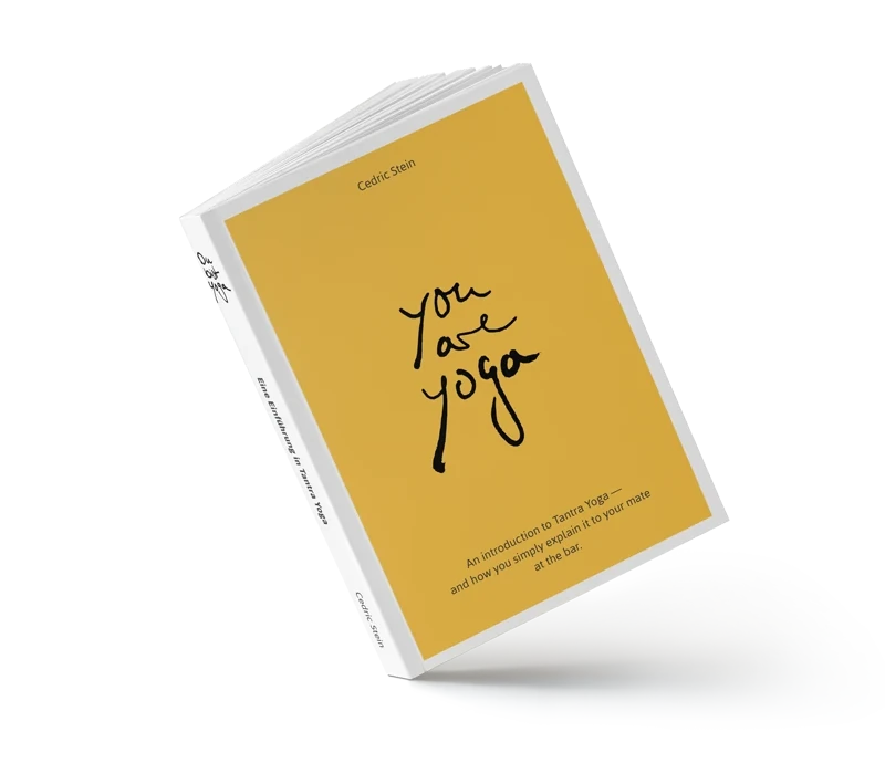 You Are Yoga • Book on Spirituality 